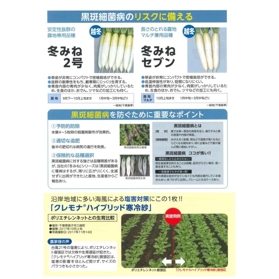 冬 みね セブン