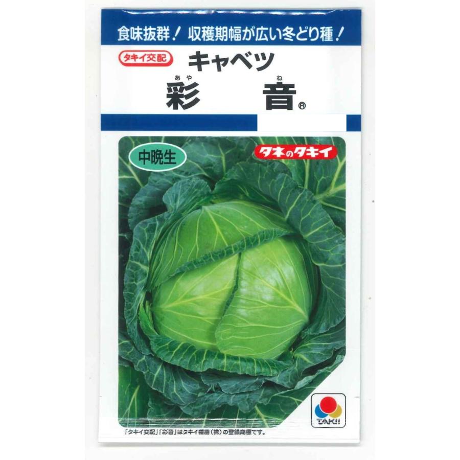 キャベツ 彩音 1.2ml (約210粒) タキイ種苗 (株)DF : グリーンロフト