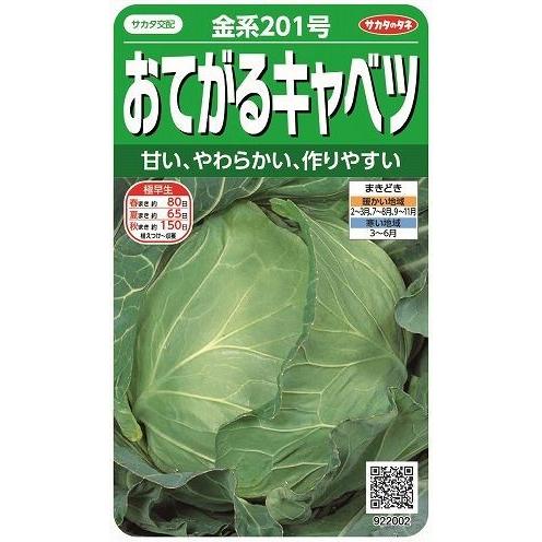 キャベツ  金系201号    約65粒　（株）サカタのタネ　実咲400｜green-loft