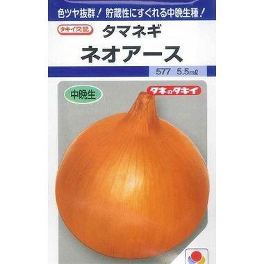 種子 数量限定 玉葱 ネオアース 5.5ml タキイ交配 お求めやすく価格改定