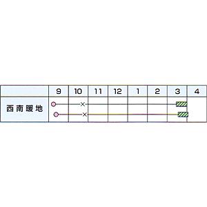 たまねぎ 超極早生 浜笑 2dl カネコ種苗（株） : グリーンロフトネモト