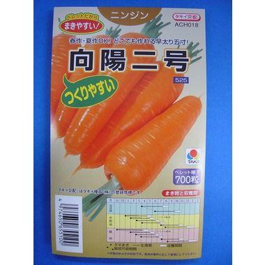 人参 向陽二号 ペレット種子700粒 タキイ種苗（株） : グリーンロフト