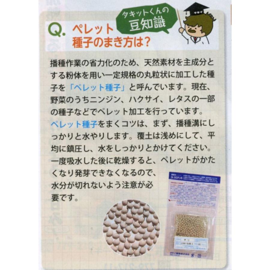 人参 向陽二号 ペレットL1万粒 タキイ種苗（株） : グリーンロフト