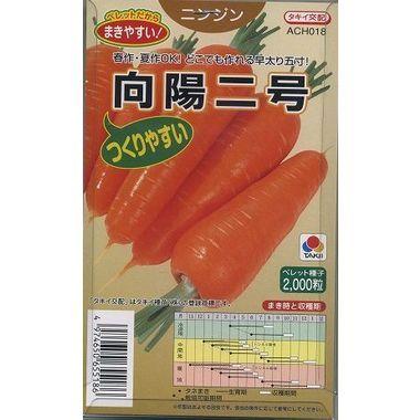 人参 向陽二号 ペレット種子2000粒 タキイ種苗（株） : グリーンロフト