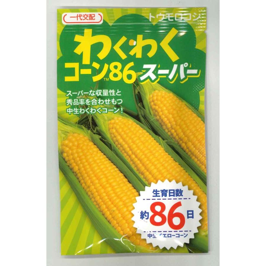 とうもろこし わくわくコーン86スーパー 100粒 カネコ種苗（株