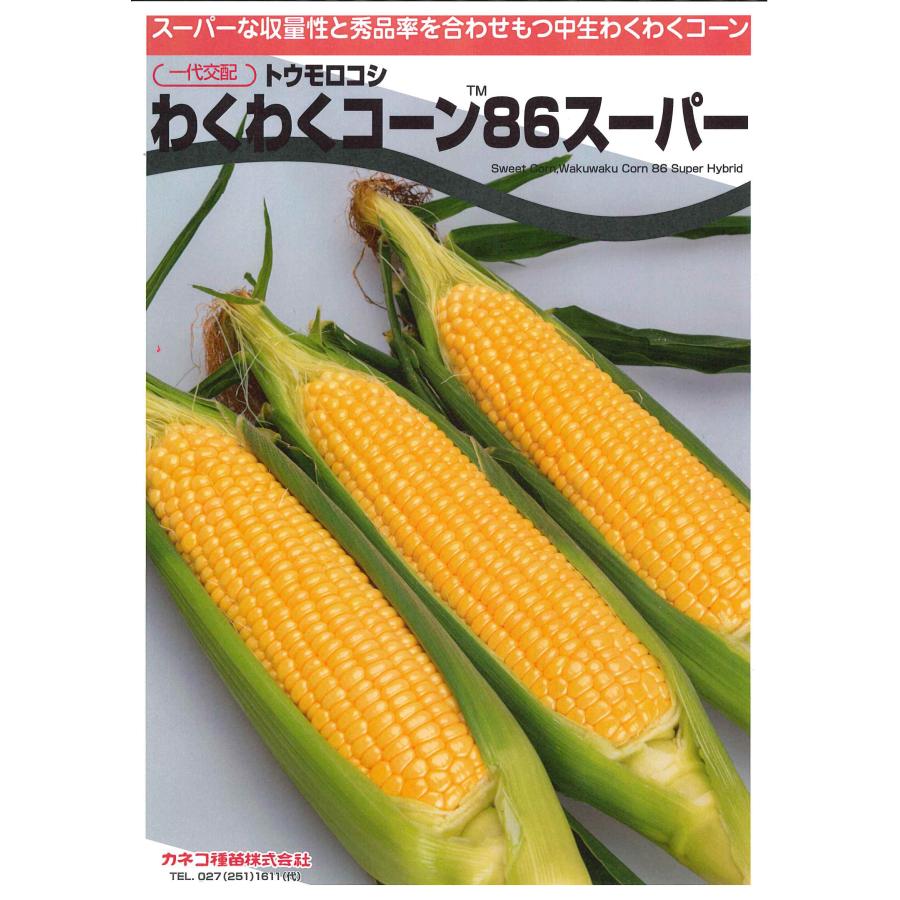 とうもろこし わくわくコーン86スーパー 100粒 カネコ種苗（株