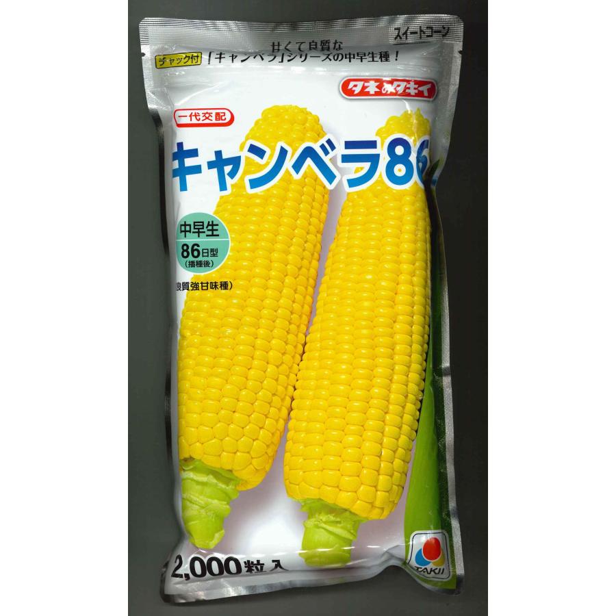 とうもろこし わくわくコーンTM86スーパー(KAB-913)[とうもろこし] - e-種や｜国内
