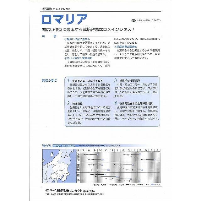 レタス ヒートガイ ペレット種子5000粒 タキイ種苗（株） : グリーン