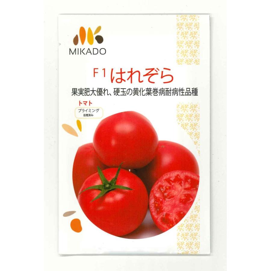 大玉トマト はれぞら100粒 ヴィルモランみかど（株） : グリーンロフト 