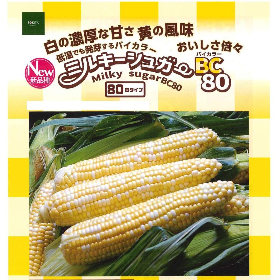 ミルキーシュガー 2000粒入り　トキタ種苗 とうもろこし とうもろこし ミルキーシュガーバイカラー80 2000粒 トキタ種苗(株