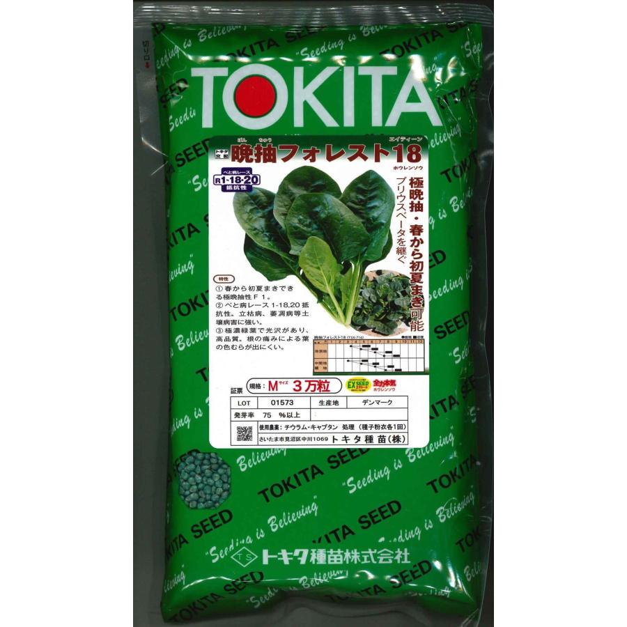 ほうれんそう 晩抽フォレスト18 （種子サイズM）3万粒 トキタ種苗（株