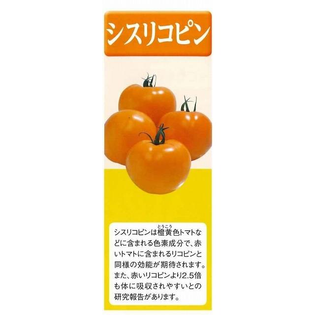 送料無料！白菜　オレンジクイン　5000粒　タキイ種苗（株）｜green-loft｜04