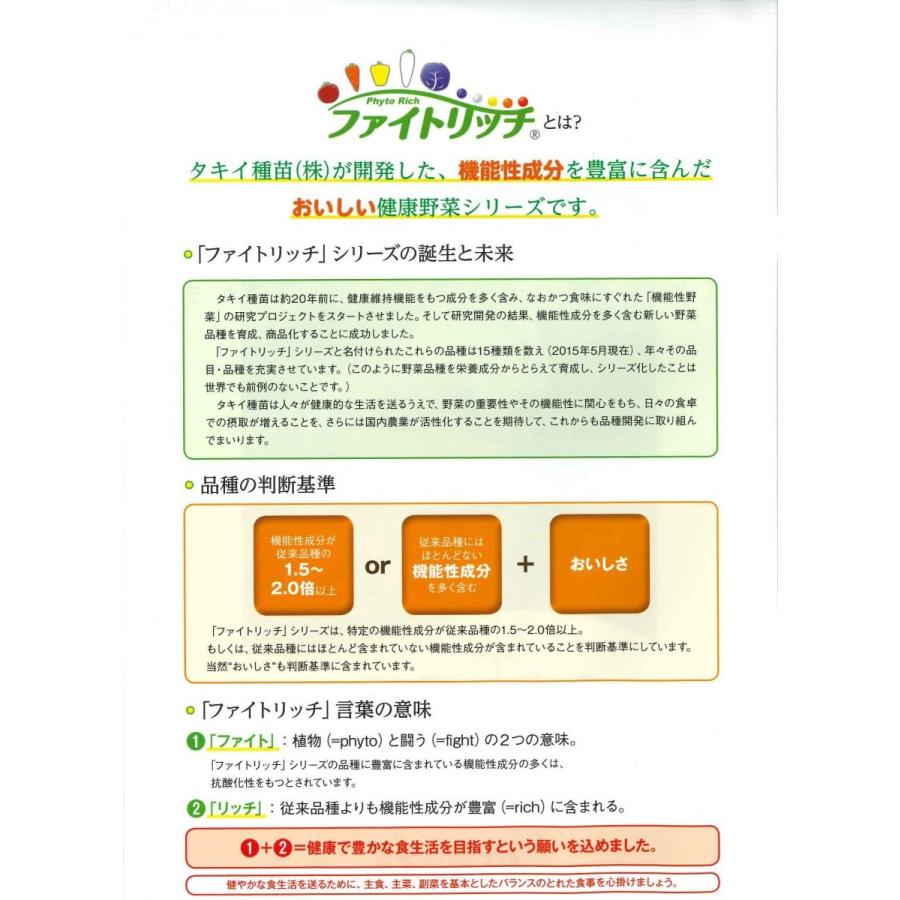 白菜 オレンジクイン 5000粒 タキイ種苗（株） : グリーンロフトネモト