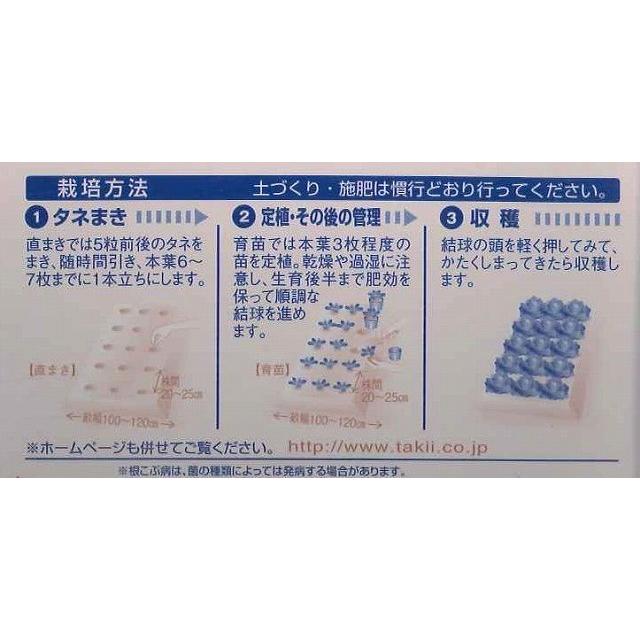 白菜 CRお黄にいり ペレット 5000粒 タキイ種苗（株） : グリーン