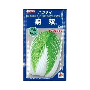 白菜  無双　20ｍｌ タキイ種苗（株）｜green-loft