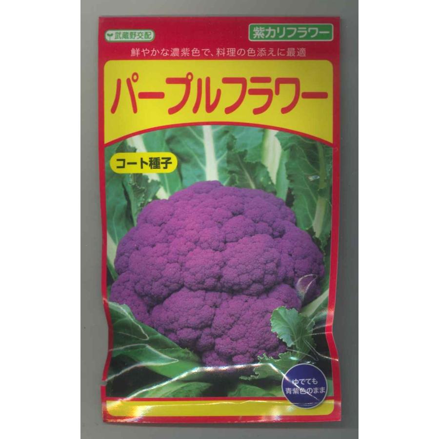 Sale 73 Off カリフラワー パープルフラワー コート種子 35粒 武蔵野交配