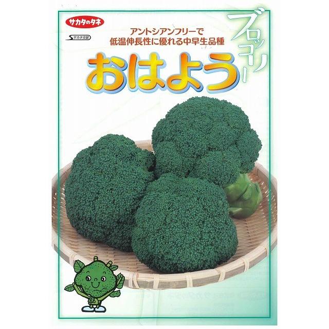 サカタのタネ ブロッコリー おはよう ペレット5000粒 : グリーン サカタのタネ ブロッコリー おはよう ペレット5000粒 : グリーン