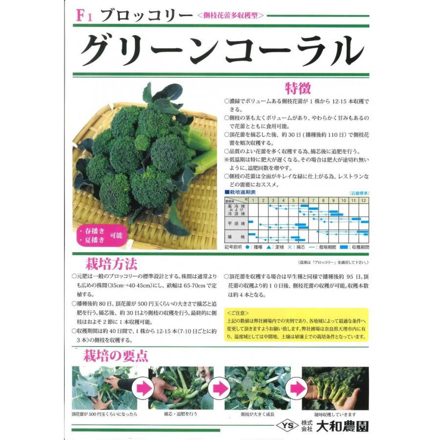 ブロッコリー グリーンコーラル 0.5ml （株）大和農園 : グリーン