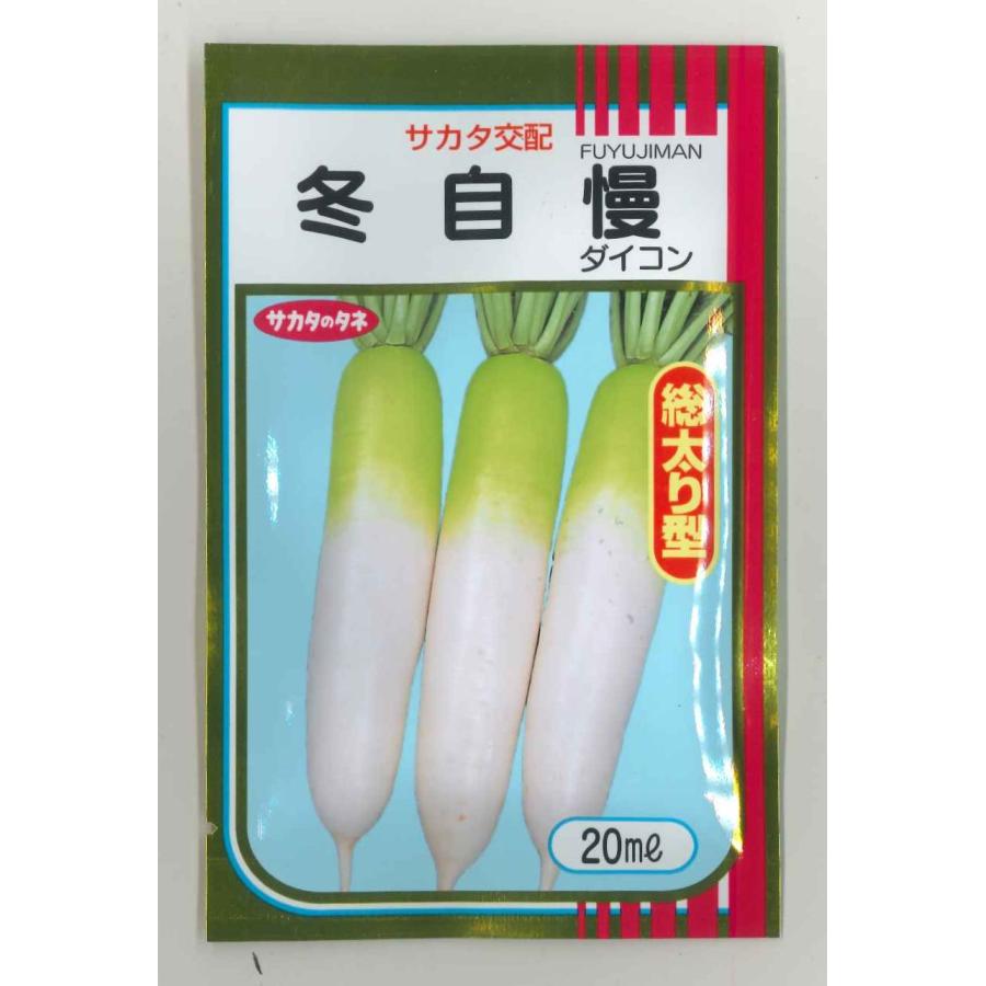 取れたて大根 大根 総太宮重大根の販売 苗木部 By 花ひろばオンライン