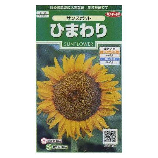 サカタのタネ（サカタノタネ） 花の種 ひまわり サンスポット 約13粒