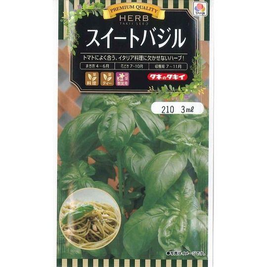 ハーブの種 スイートバジル 3ｍｌ タキイのタネ 21 グリーンロフトネモト 通販 Yahoo ショッピング