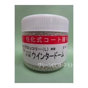 未開封 SK9-099 ブロッコリー コート種子 5000粒 ぺレット サカタ サカタのタネ（サカタノタネ） ブロッコリー ウインタードーム