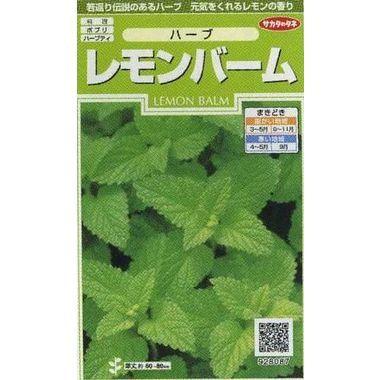 ハーブの種 レモンバーム サカタのタネ Llamaarchitects Co Uk
