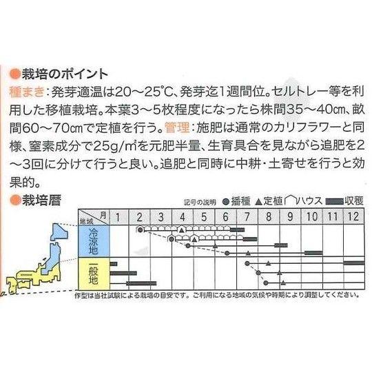 イタリア野菜　ダ・ヴィンチ　50粒　トキタ種苗（株）｜green-loft｜02