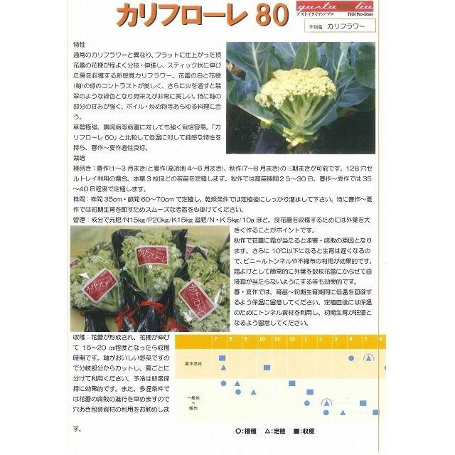 イタリア野菜 カリフローレ80 Lコート1000粒 トキタ種苗 |  | 01