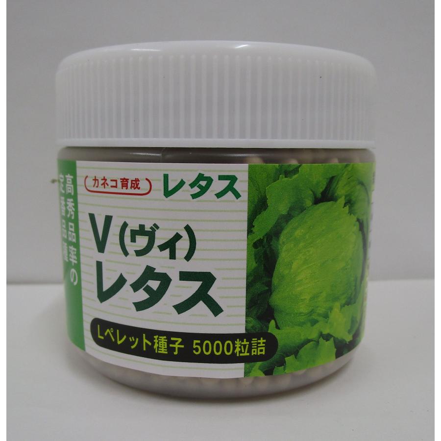 ヒートガイ レタスの種子 コート5000粒×3個 【公式通販】