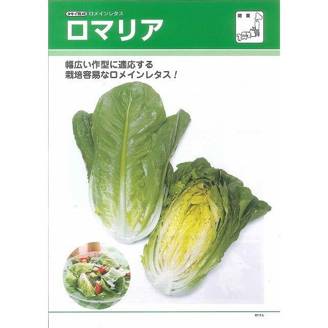 レタス ロメインレタス ロマリアペレット種子5000粒 タキイ種苗（株