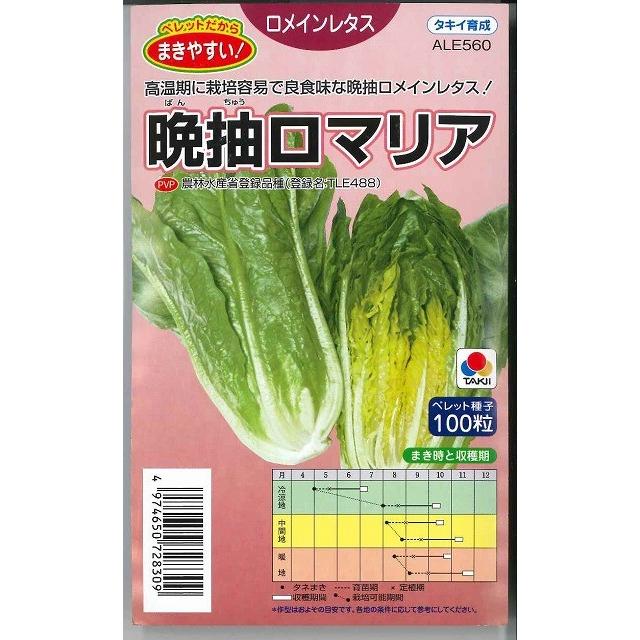 希望者のみラッピング無料 野菜の種 種子 ロマリア ロメインレタス 100粒 メール便発送 タキイ種苗