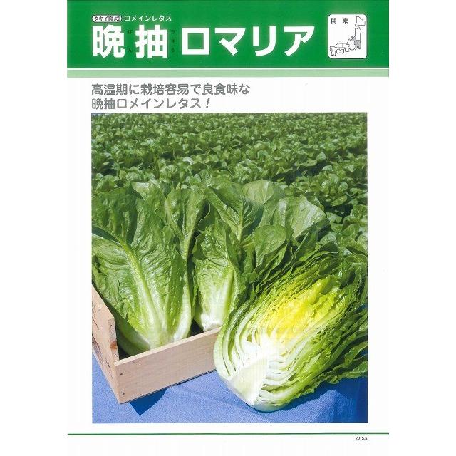 ロメインレタス 晩抽ロマリア ペレット種子１００粒 タキイ交配 37 グリーンロフトネモト 通販 Yahoo ショッピング