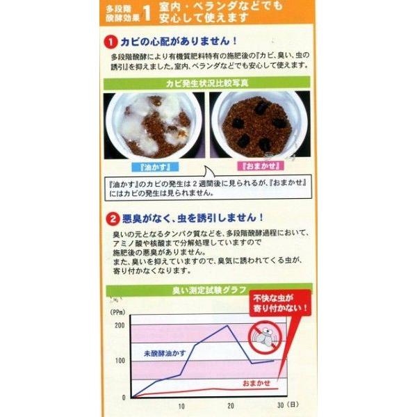 肥料 超発酵油かす 中粒 2 5kg 東商 4128 グリーンロフトネモト 通販 Yahoo ショッピング