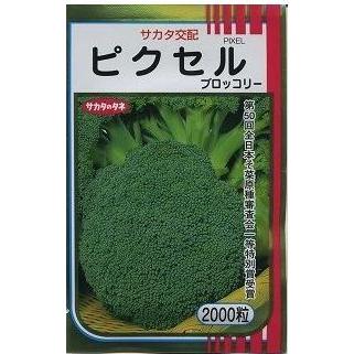 サカタのタネ（サカタノタネ） ブロッコリー ピクセル 2000粒 （株