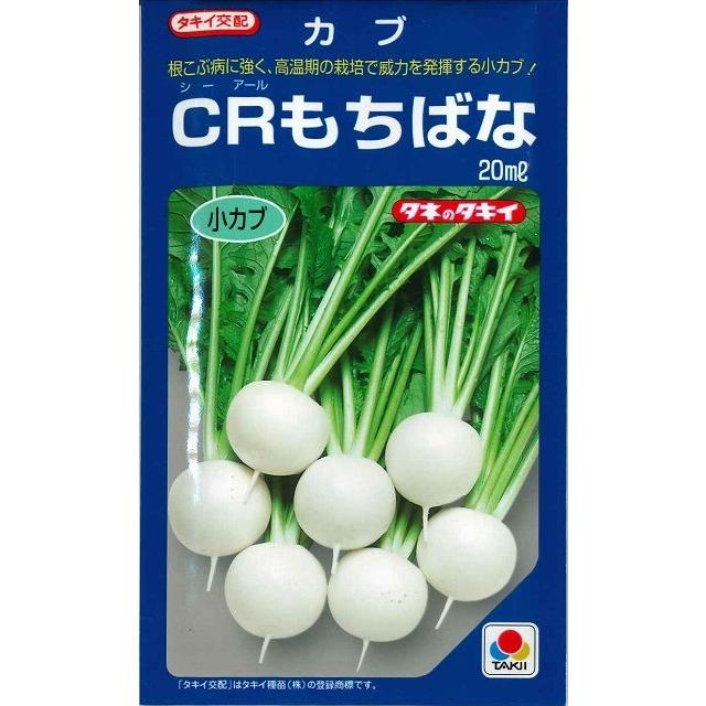 かぶ ｃｒもちばな ml タキイ交配 グリーンロフトネモト 通販 Yahoo ショッピング