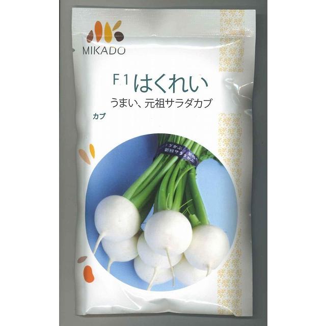 かぶ かぶ はくれい(サラダカブ) 1dl ヴィルモランみかど（株） : グリーン