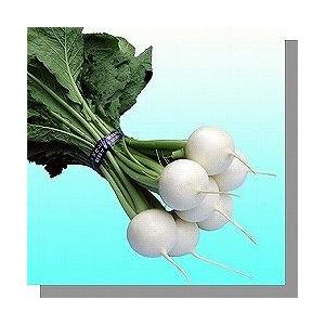 かぶ かぶ はくれい(サラダカブ) 1dl ヴィルモランみかど（株） : グリーン