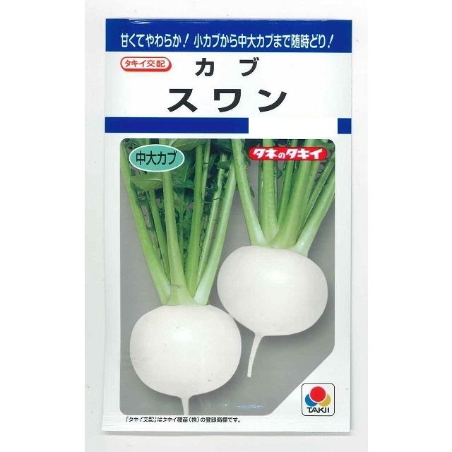 新生活 かぶ スワン 7 5ｍｌタキイ交配 ｄｆ 大好評です