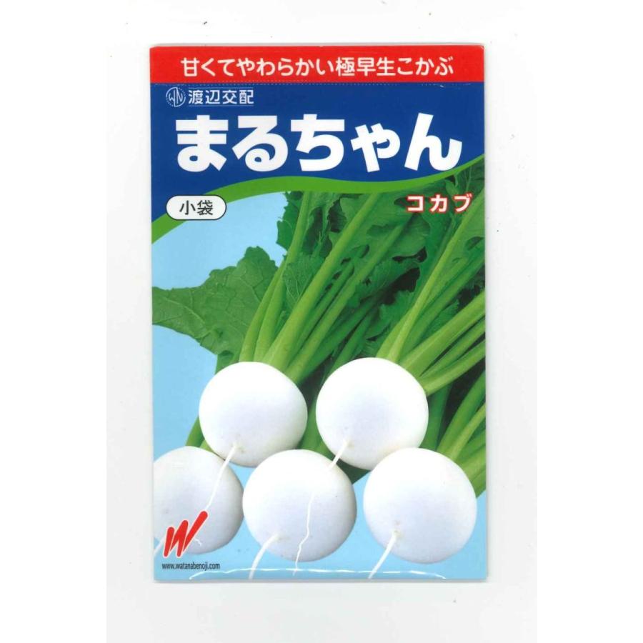 かぶ まるちゃん(こかぶ)1000粒 渡辺農事（株） : グリーンロフト