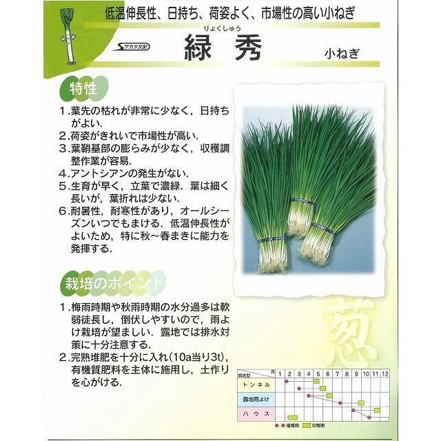 ねぎ 緑秀 (小ねぎ) 1L （株）サカタのタネの画像