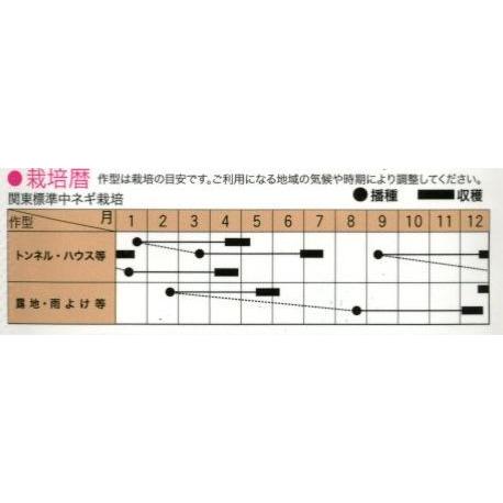 ねぎ ちゃんこ葱 2 20ml トキタ種苗 : グリーンロフトネモト - 通販