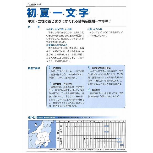 ねぎ 初夏一文字 2Lペレット種子 5000粒 タキイ種苗（株） : グリーン 