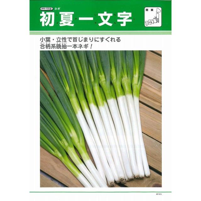 ねぎ 初夏一文字 1dl タキイ種苗（株） : グリーンロフトネモト - 通販