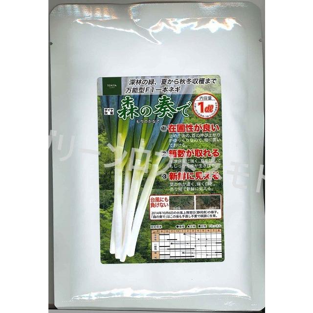 ねぎ 森の奏で 1dl トキタ種苗 : グリーンロフトネモト - 通販 - Yahoo
