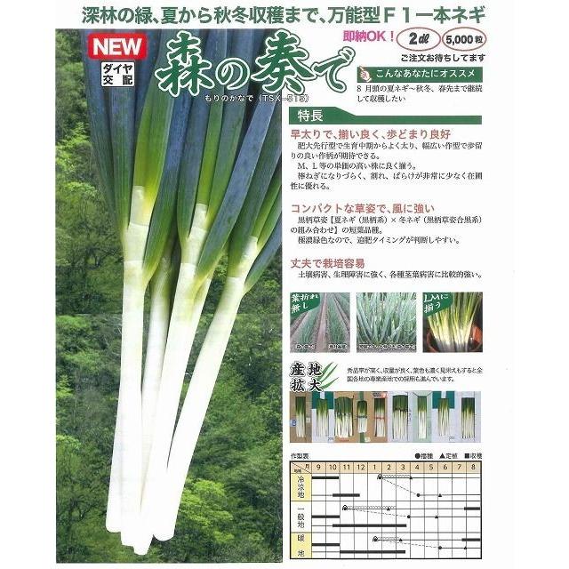 ねぎ 森の奏で 1dl トキタ種苗 : グリーンロフトネモト - 通販 - Yahoo