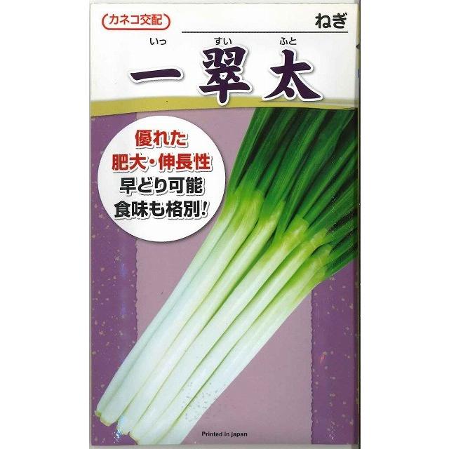 ねぎ 一翠太 20ml カネコ種苗（株） : グリーンロフトネモト - 通販