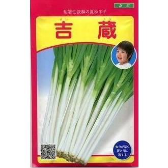 ねぎ 吉蔵20ml（株）武蔵野種苗園 : グリーンロフトネモト - 通販