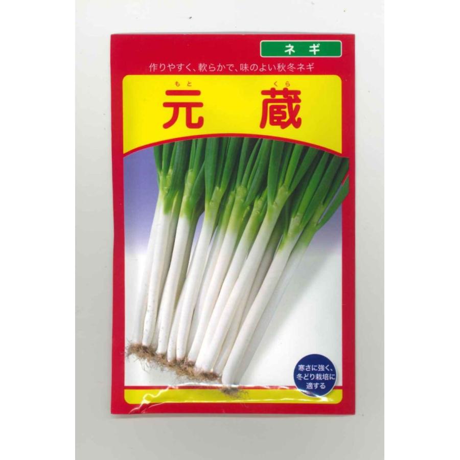 ねぎ 元蔵20ml（株）武蔵野種苗園 : グリーンロフトネモト - 通販