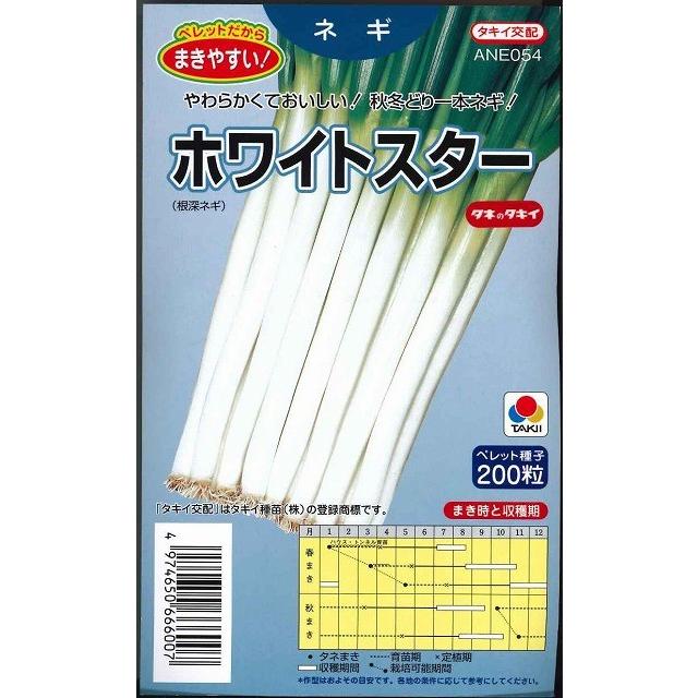 ねぎ ホワイトスター ペレット種子200粒 タキイ種苗（株） : グリーン